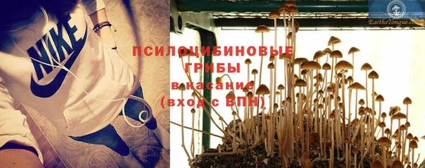 круглые Вязьма